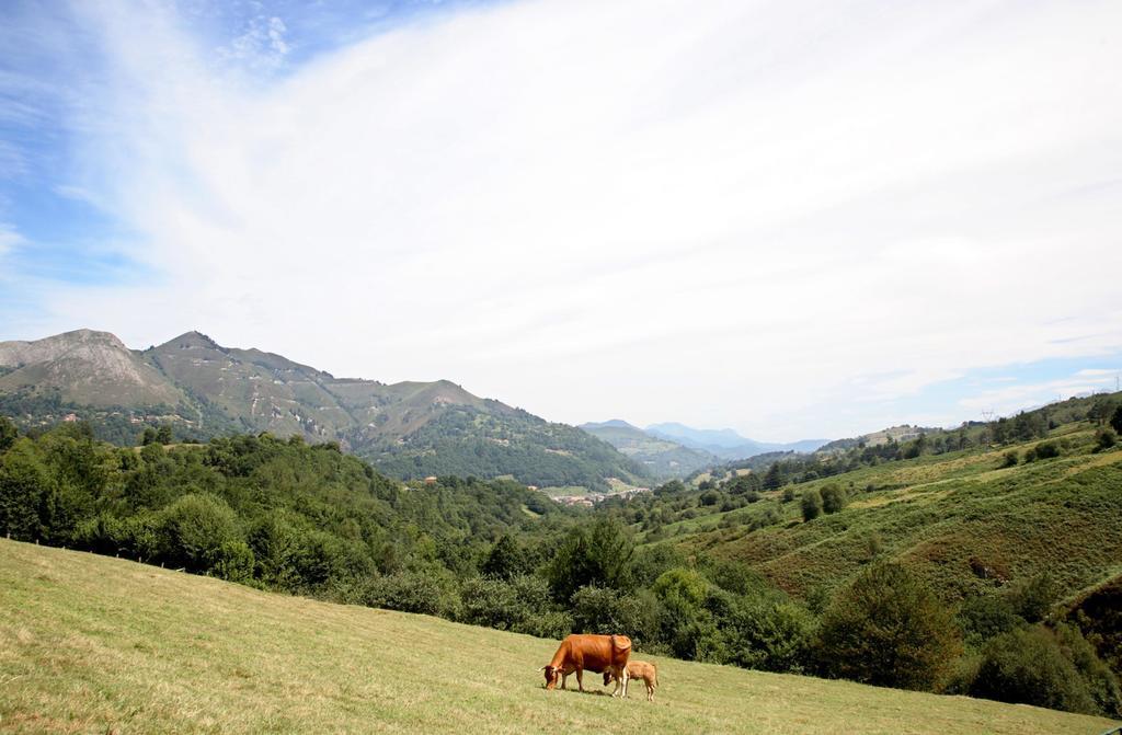 Vivienda Vacacional Supereda San Juan de Parres Pokoj fotografie